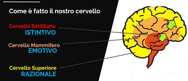 Pensieri lenti e veloci - Neuromarketing Italia